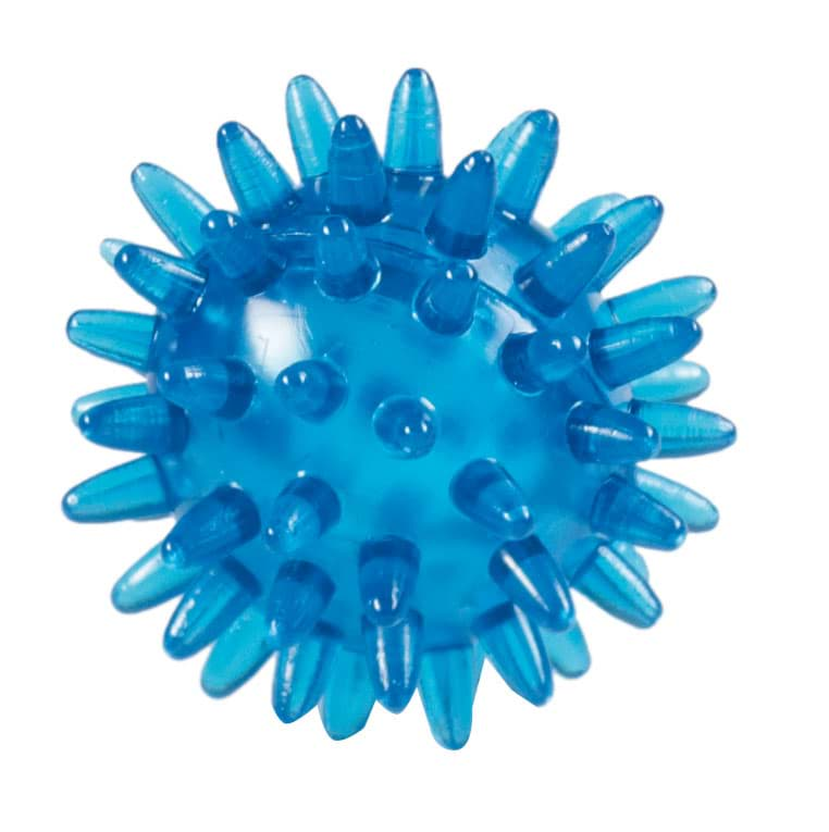 Bild von Igelball 5cm blau